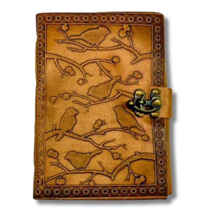 Delilah Bird Journal with a brass lock on a white background.