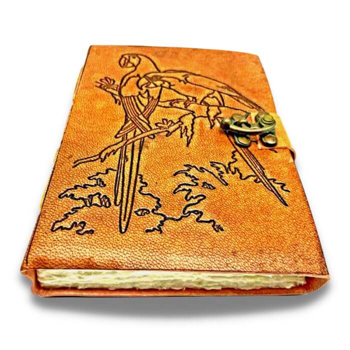Bird watching journal on a white background