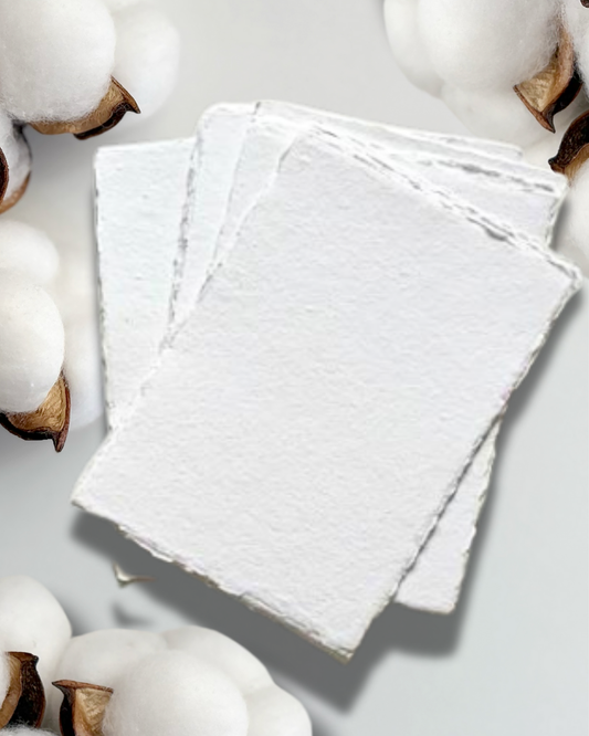 Looking for Premium Cotton Paper? Read This Before You Buy
