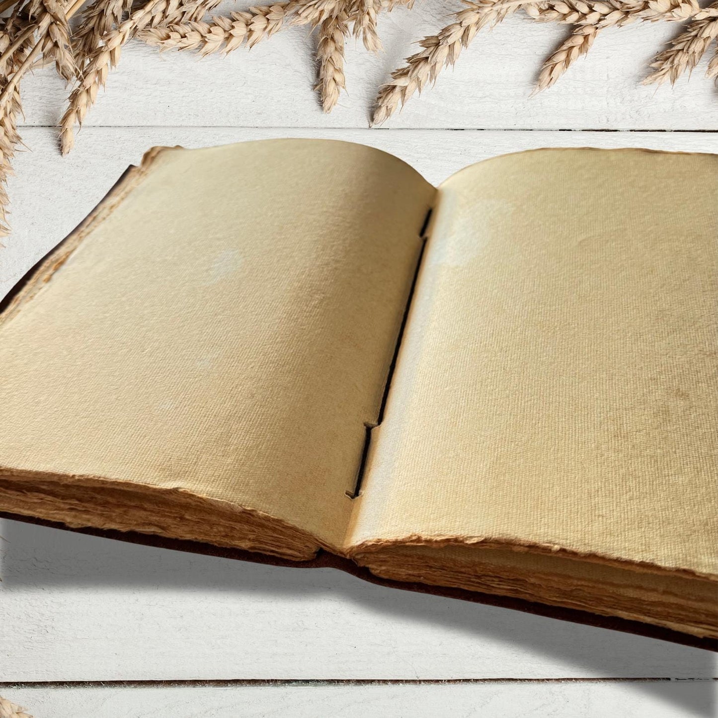 Vintage leather journal on an asthetic background
