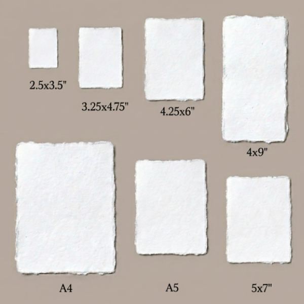 Flat lay of seven white handmade cotton deckle edge paper sheets in all sizes — 2.5x3.5, 3.25x4.75, 4.25x6, 4x9, A4, A5 and 5x7 inches — with size labels on warm taupe background
