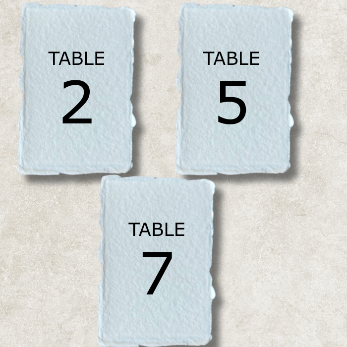 Light blue wedding table number card with "TABLE 2" in black lettering