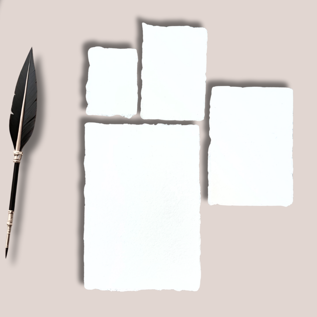 cotton paper with deckle edges available in different sizes on a plain pastel background with a feather pen on the side